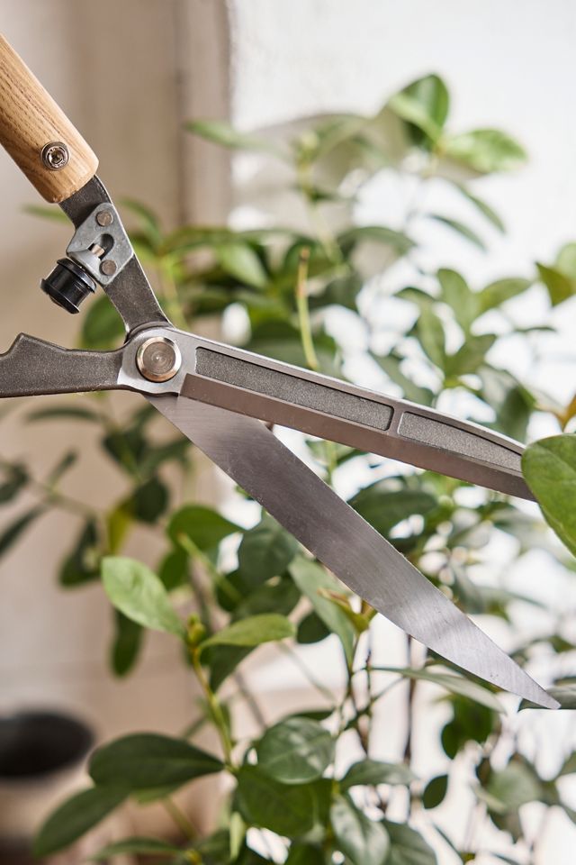 Sophie Conran for Burgon & Ball Garden Shears Terrain