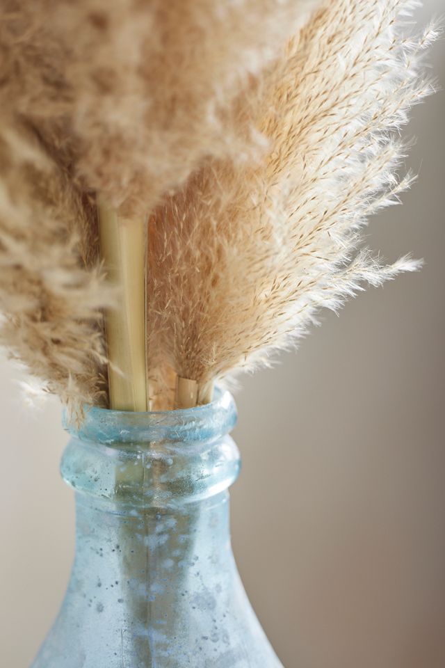 Dried Pampas Grass Bunch #1