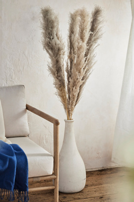 Terrain Dried Pampas Grass Bunch In Neutral