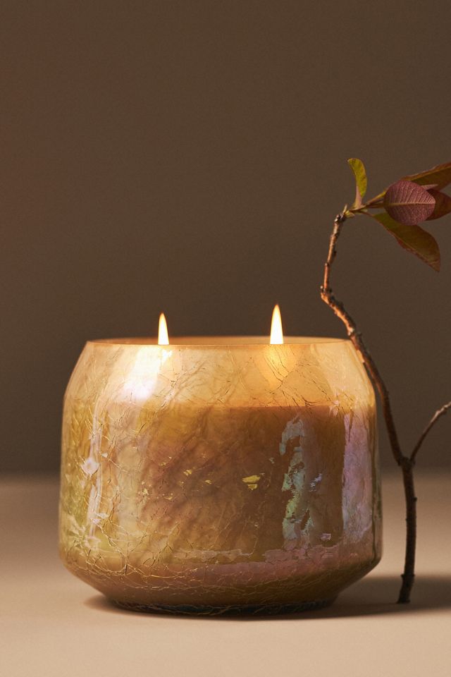 By Anthropologie Pumpkin & Sweet Vanilla Glass Jar Candle #3