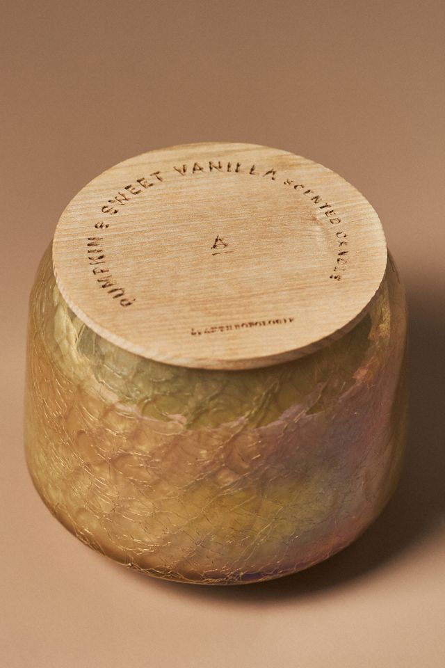By Anthropologie Pumpkin & Sweet Vanilla Glass Jar Candle #4