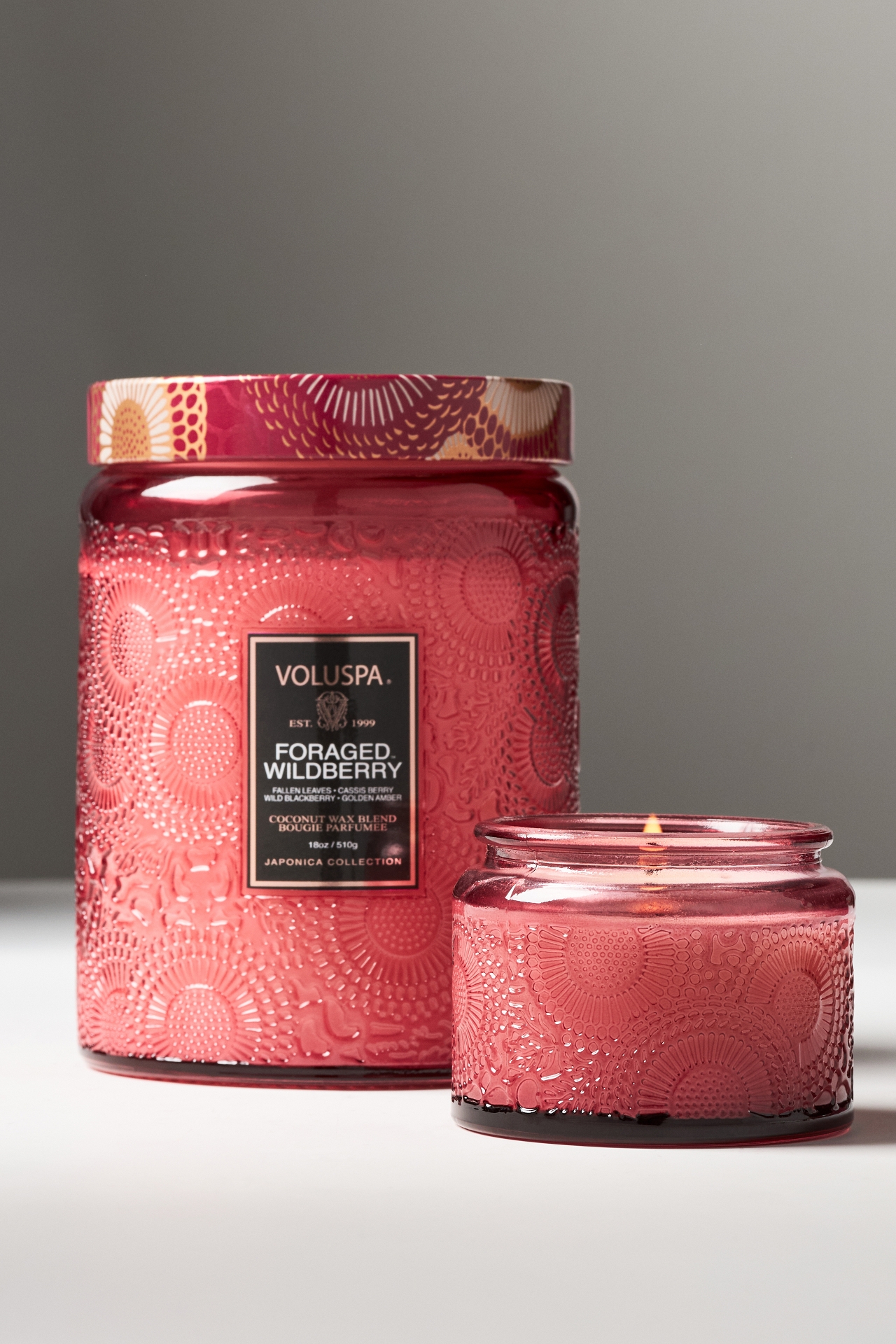 Voluspa Japonica Foraged Wildberry Glass Jar Candle