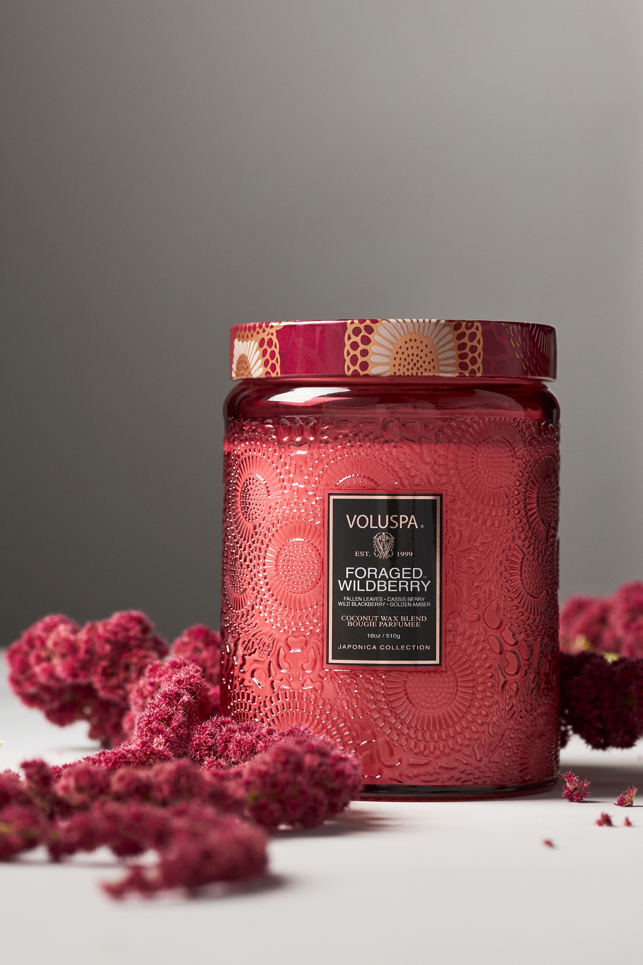 Voluspa Japonica Foraged Wildberry Glass Jar Candle