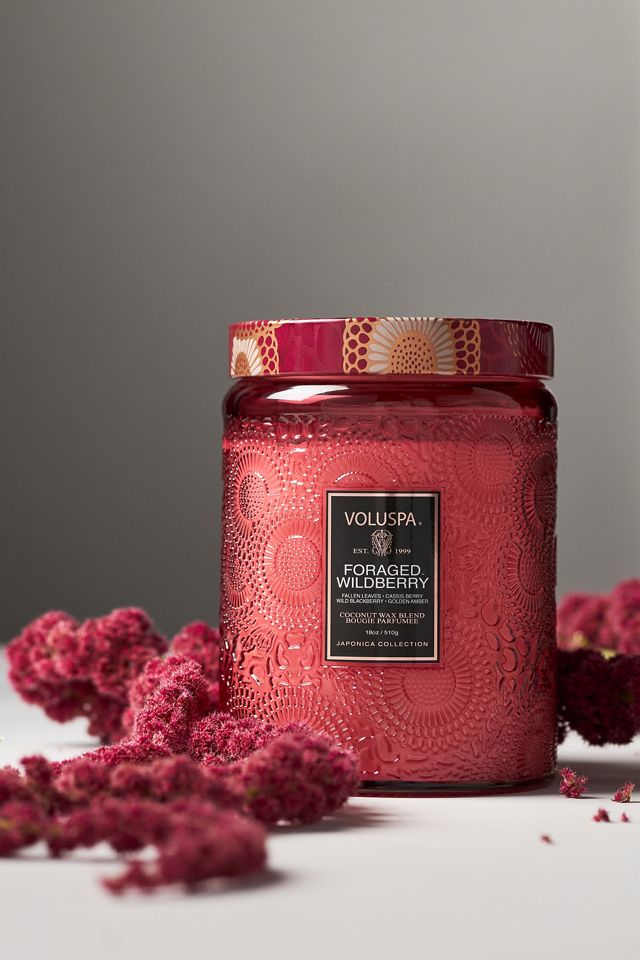 Voluspa Japonica Foraged Wildberry Glass Jar Candle #3