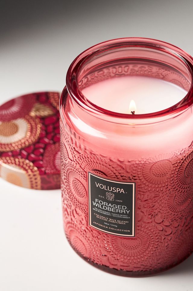 Voluspa Japonica Foraged Wildberry Glass Jar Candle #4