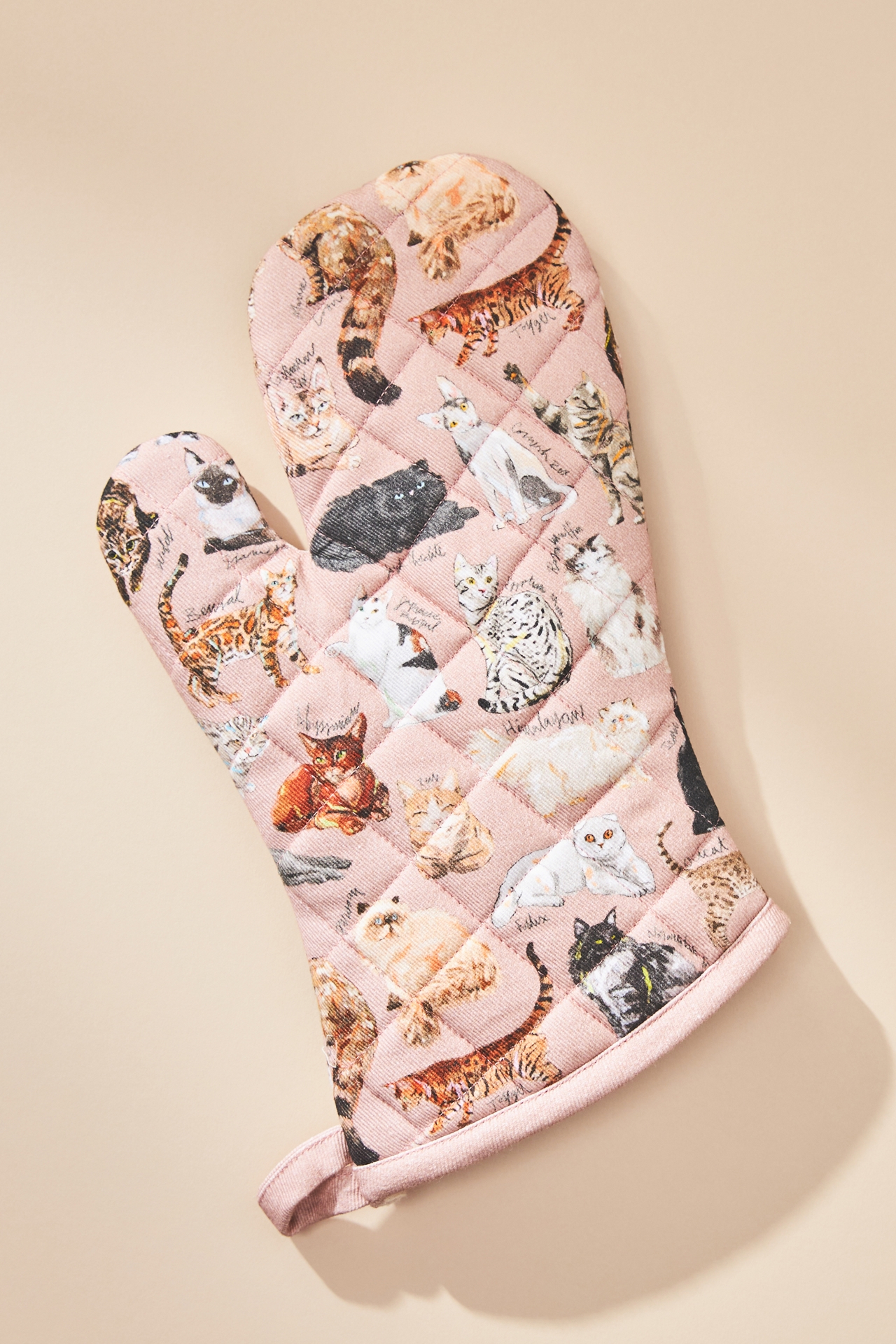 Cat Breeds A-Z Oven Mitt