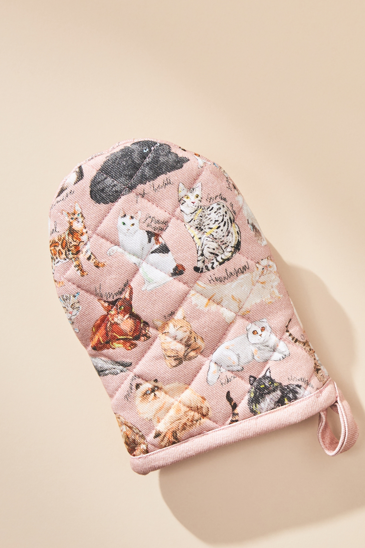 Cat Breeds A-Z Mini Oven Mitt