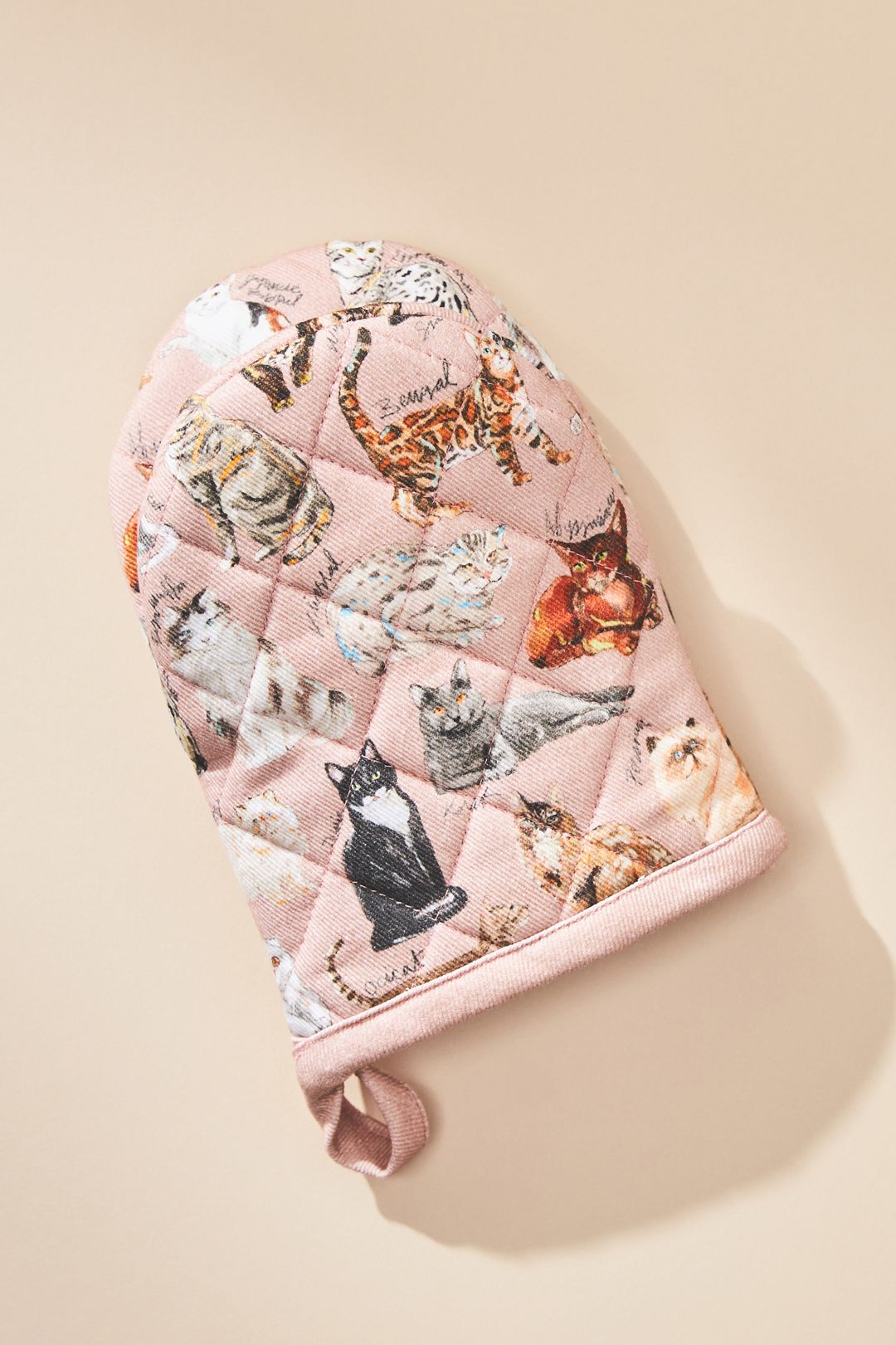 Cat Breeds A-Z Mini Oven Mitt - Pink, One Size
