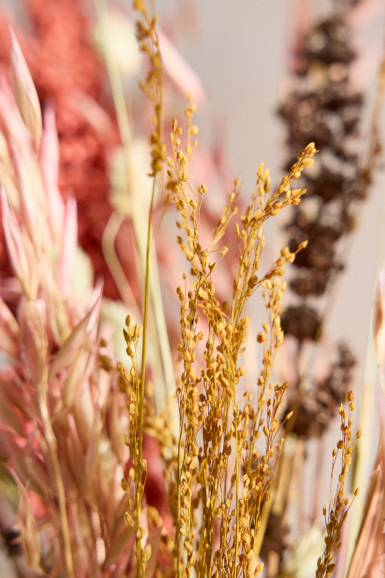 Coral Paradise Dried Bouquet