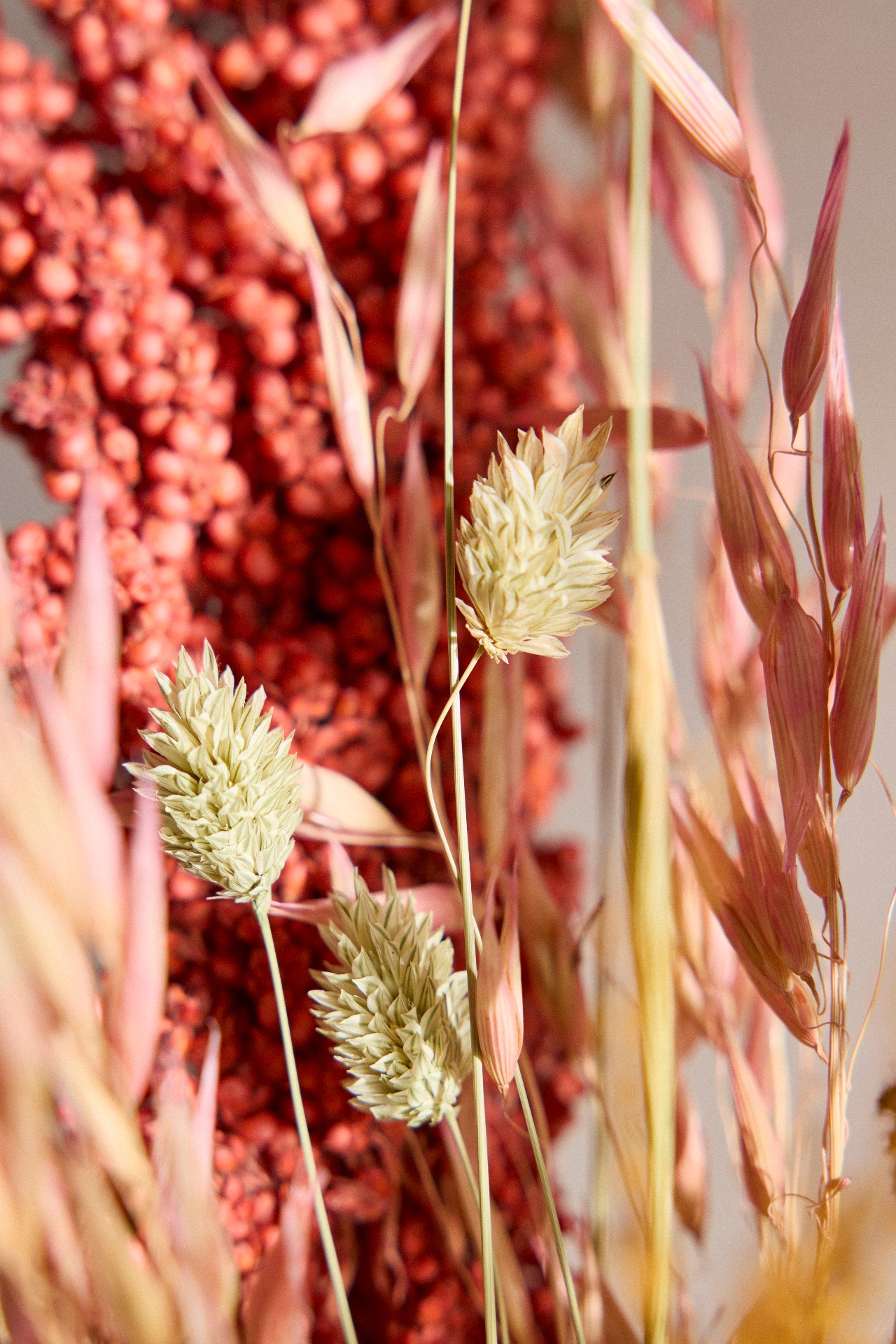 Coral Paradise Dried Bouquet