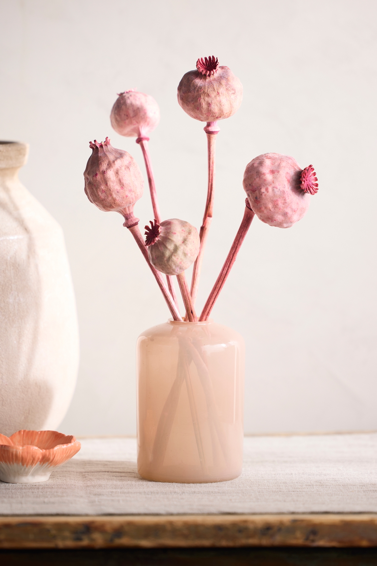 Dried Papaver Gigantum Bunch