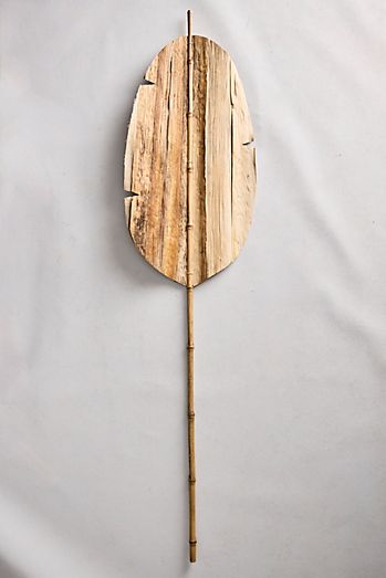Dried Strelitzia Spear