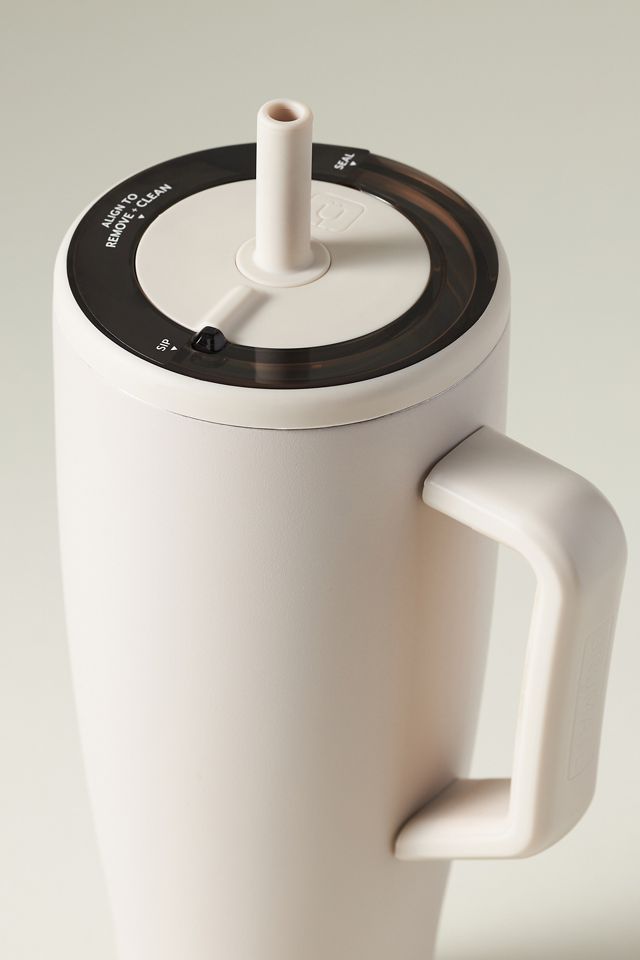 Dune 40 oz Stainless Steel Insulated Tumbler with Handle and Straw