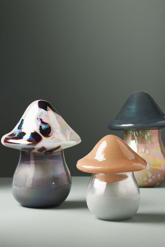 Bougie en Verre Feuille de Cèdre & Chêne Champignon Boisé #1