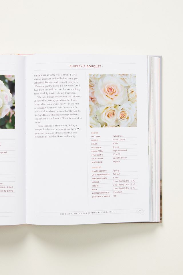 Garden Roses #2
