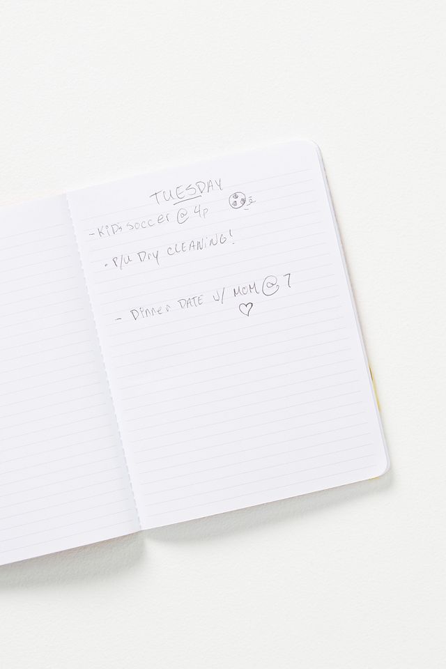 Seedlings Journals, Set of 3 | AnthroLiving