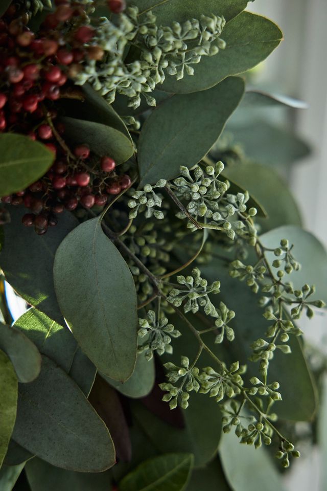 Fresh Eucalyptus + Pepperberry Wreath #2