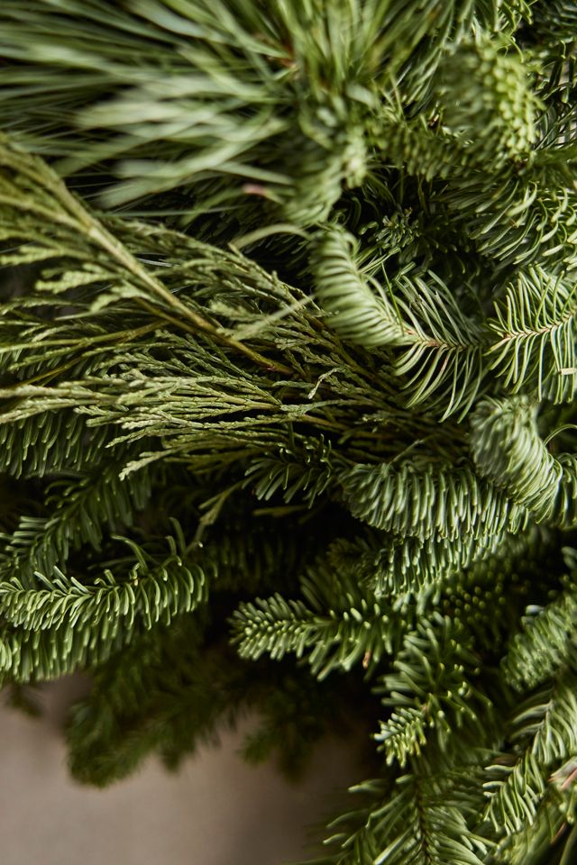 Fresh Noble Fir, Cedar + Pine Wreath #1