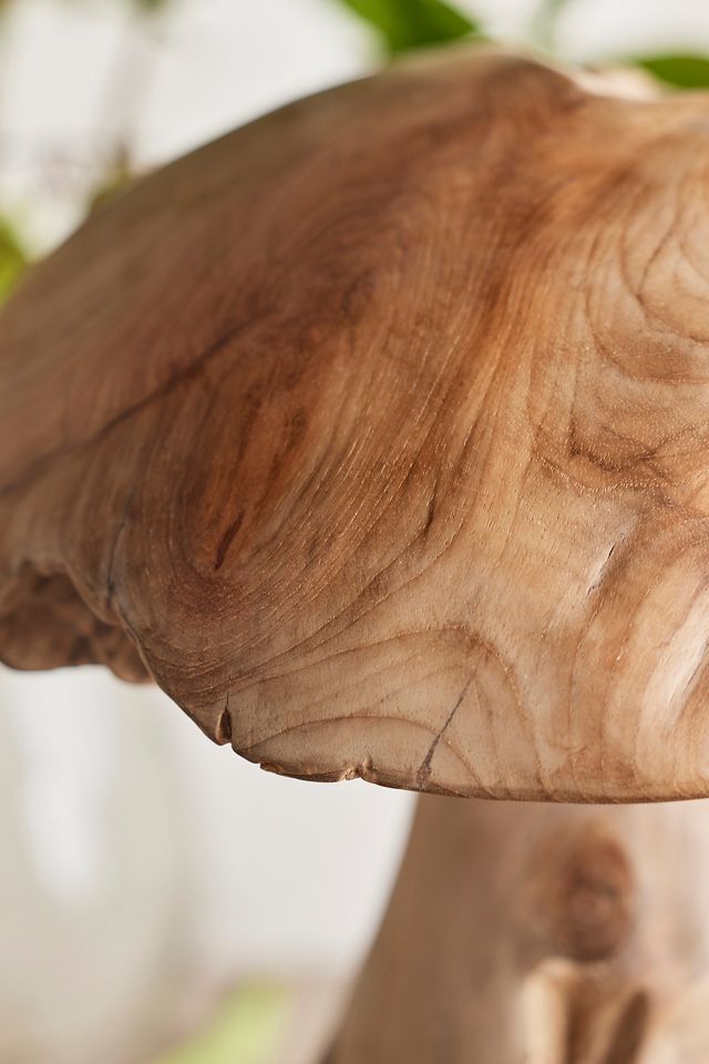 Teak Mushroom, Small #3