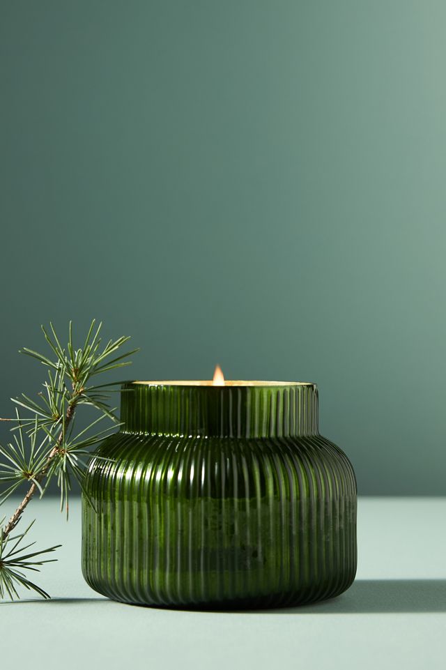 Capri Blue Fir & Firewood Jar Candle Anthropologie