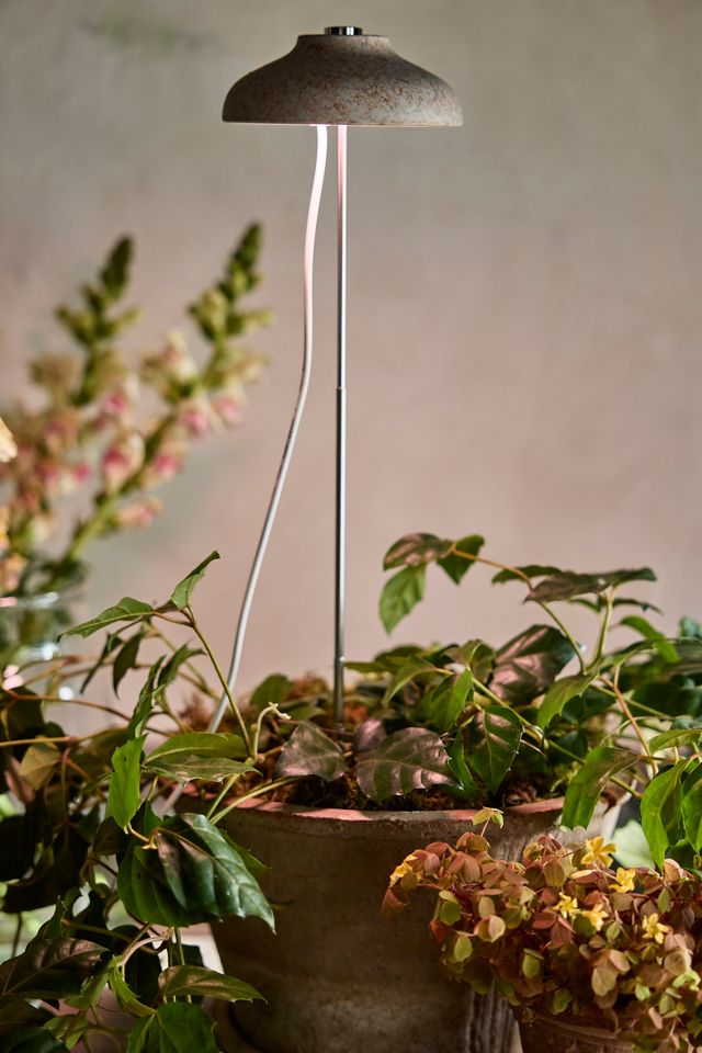 Adjustable Bamboo Grow Light #1