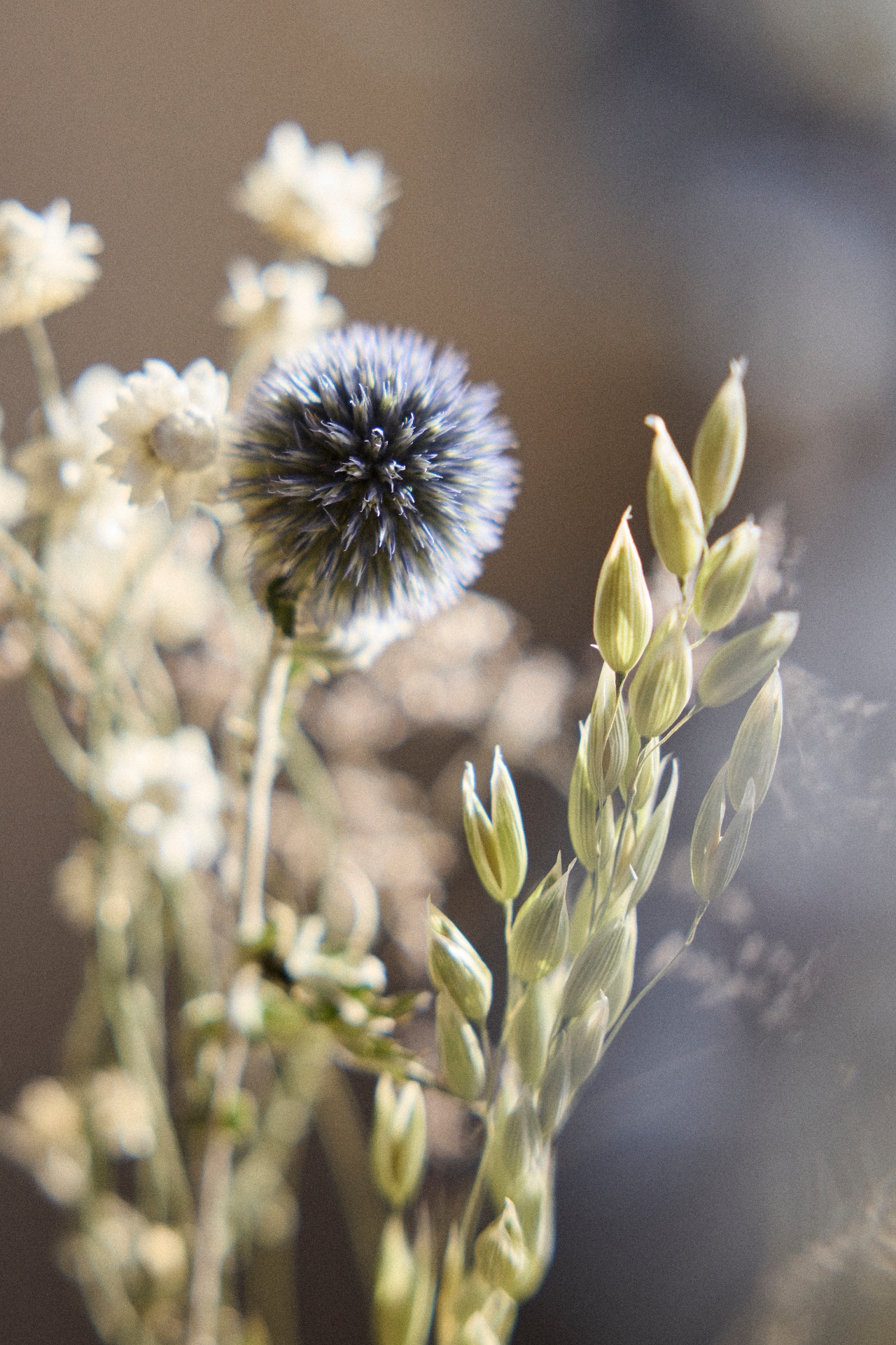 Kennett Square Dried Bouquet