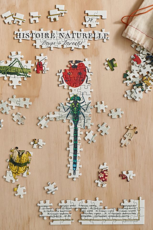 Insect Illustrations Puzzle #1