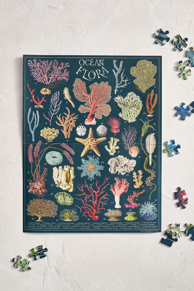 Ocean Flora Puzzle #1