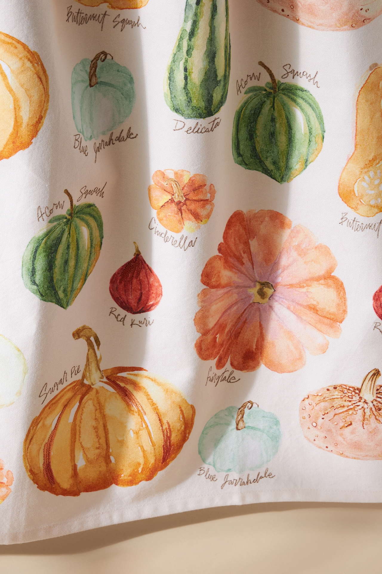 Types of Pumpkins Dish Towel