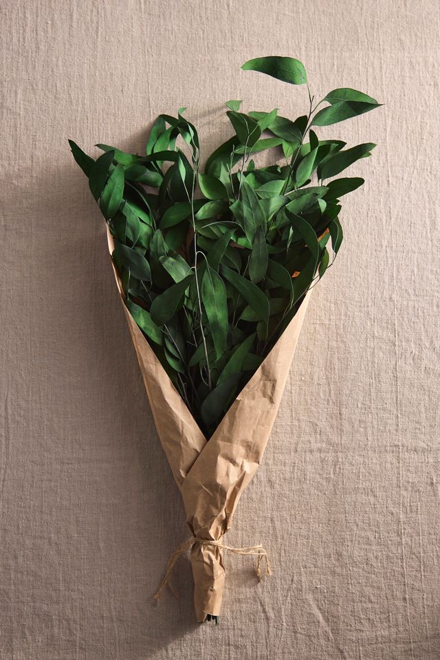 Preserved Willow Eucalyptus Bunch #2