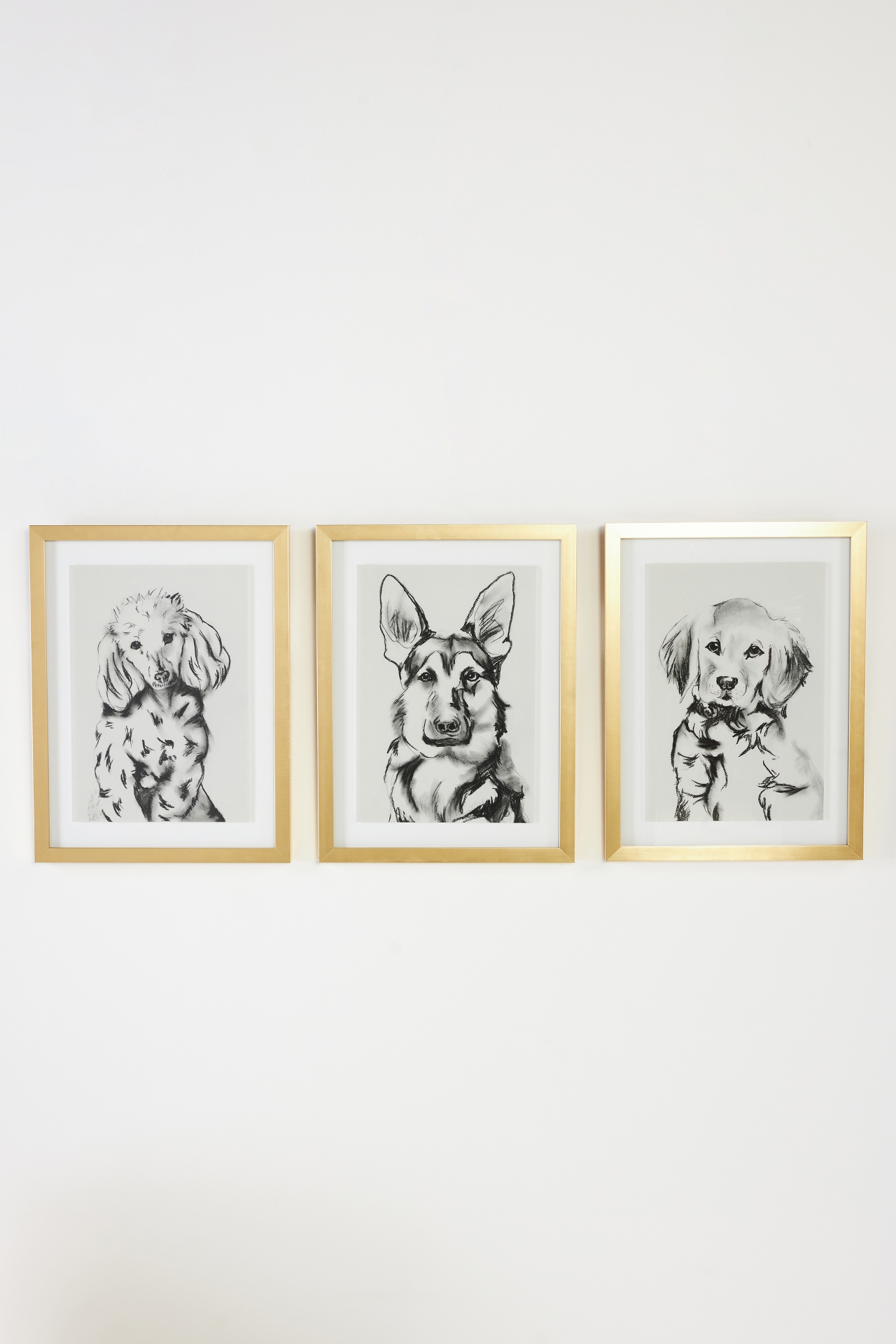 Portrait of a Pup Wall Art