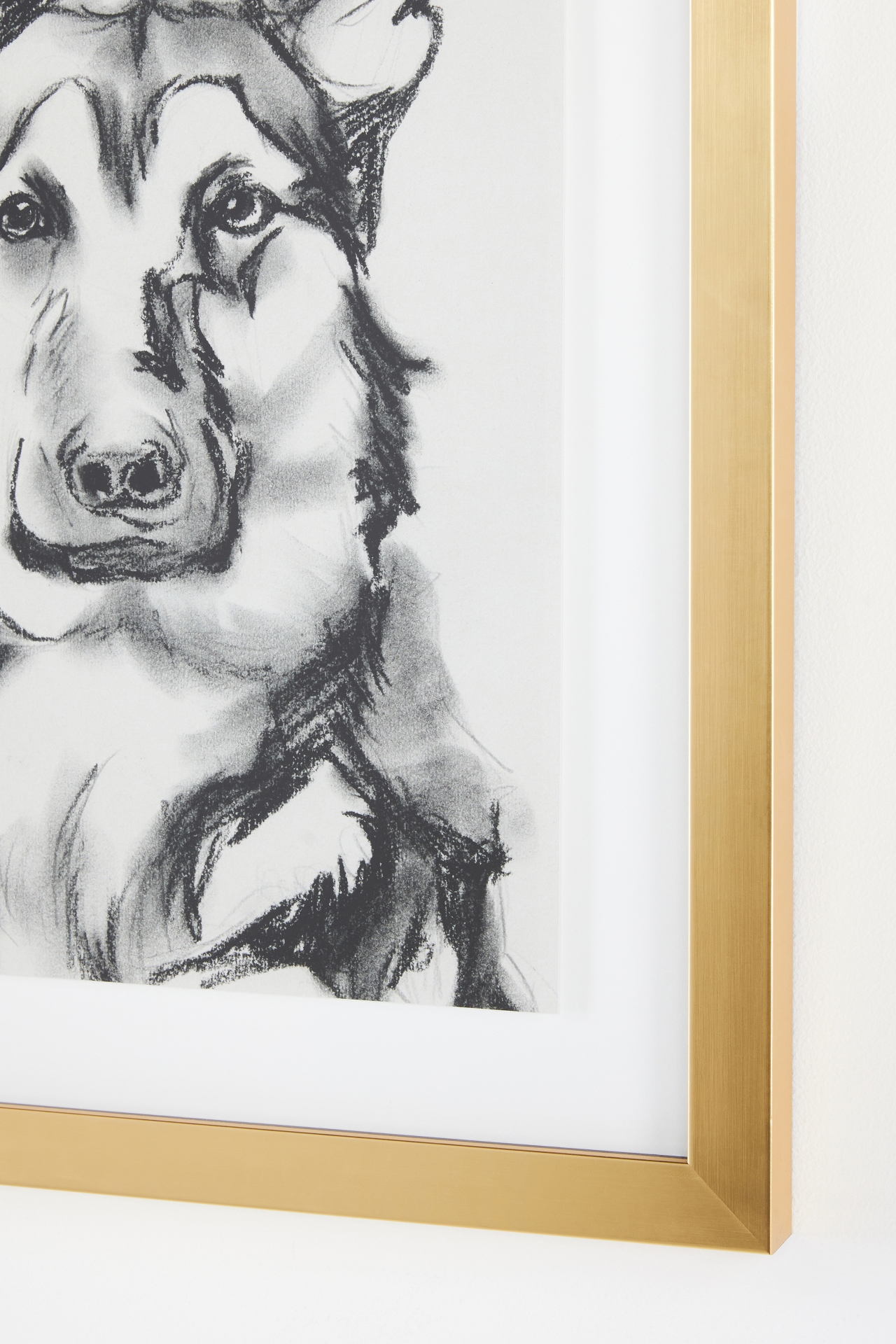 Portrait of a Pup Wall Art