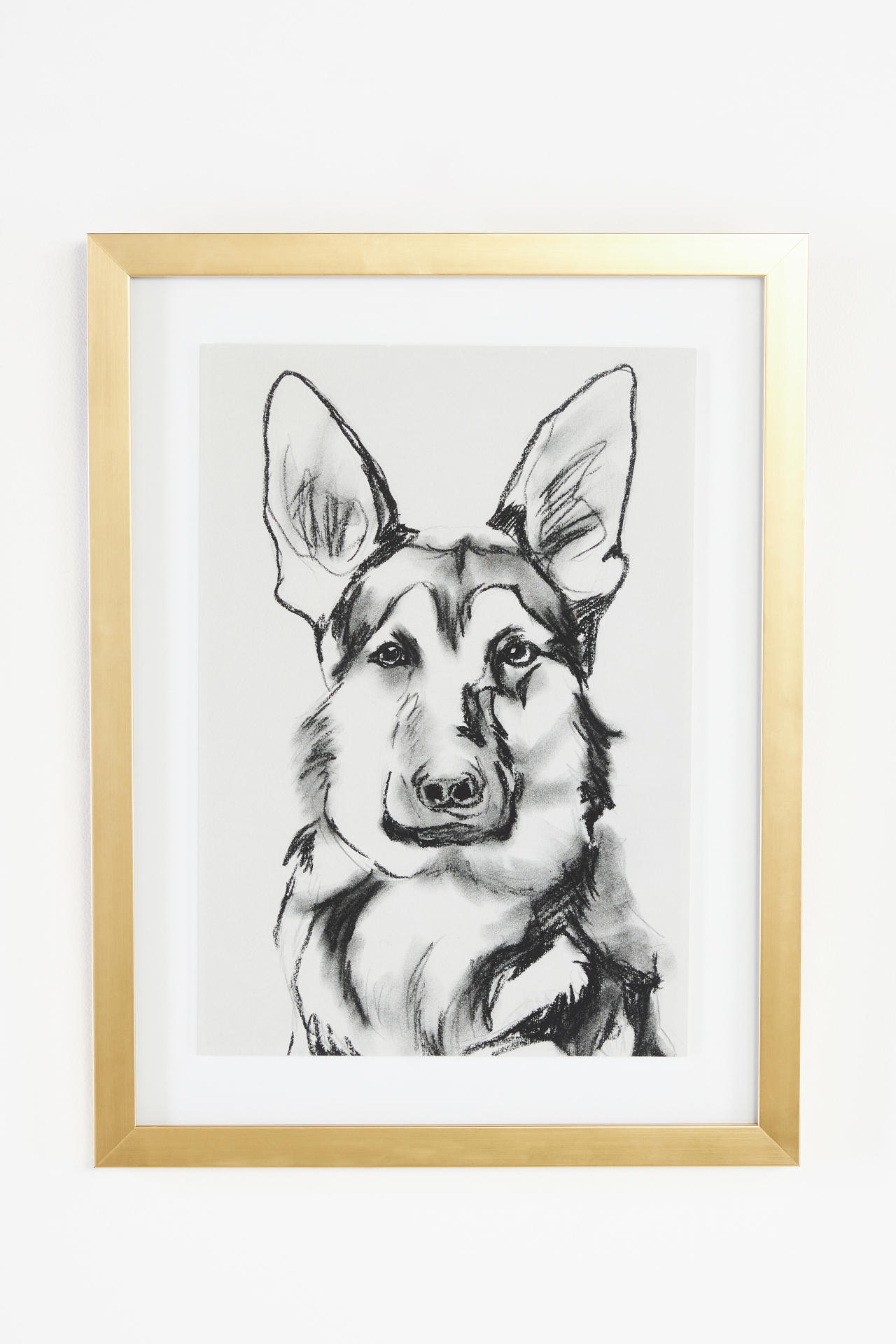 Portrait of a Pup Wall Art