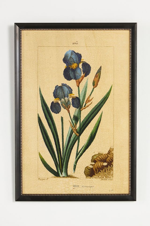 Crackled Flower Wall Art