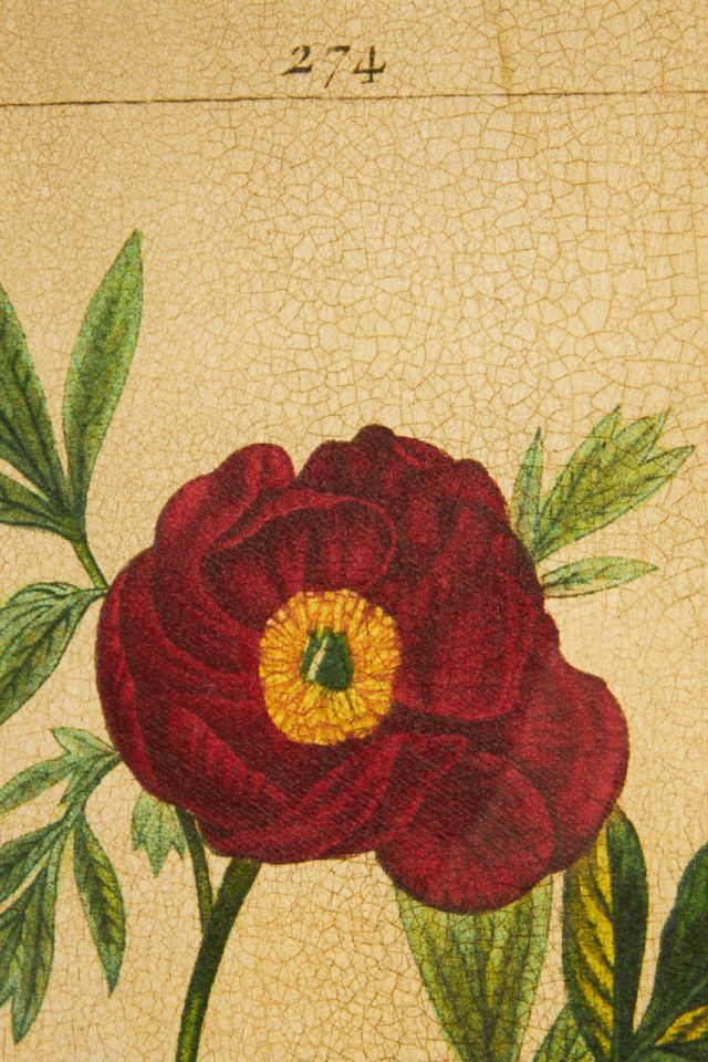 Crackled Flower Wall Art #1