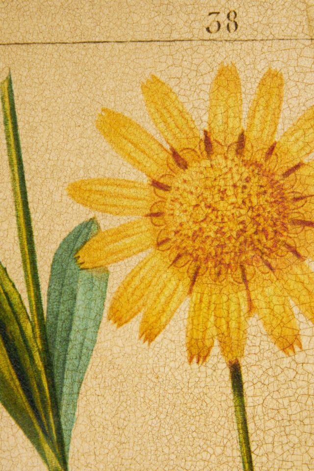 Crackled Flower Wall Art #1