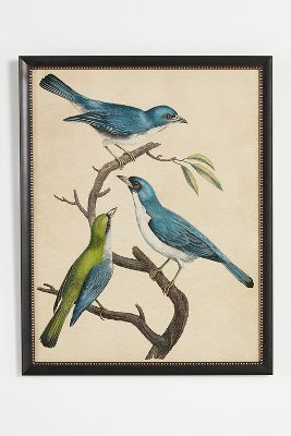 Shop Anthropologie Blue Birds Wall Art