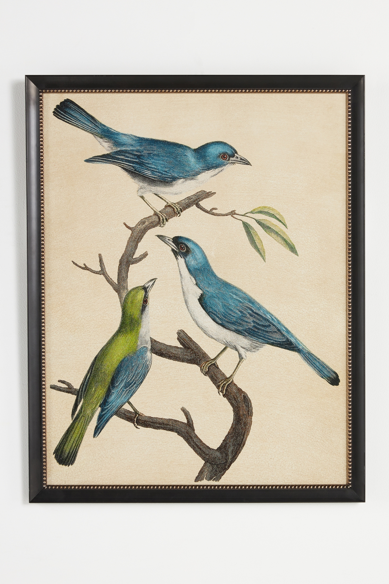 Blue Birds Wall Art