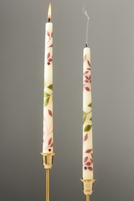 By Anthropologie Handpainted Harvest Taper Candles, Set Of 2 In White