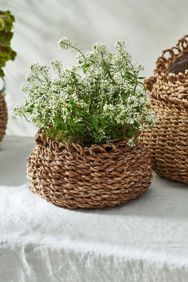 Nested Seagrass Basket Planters, Set of 4 | Terrain