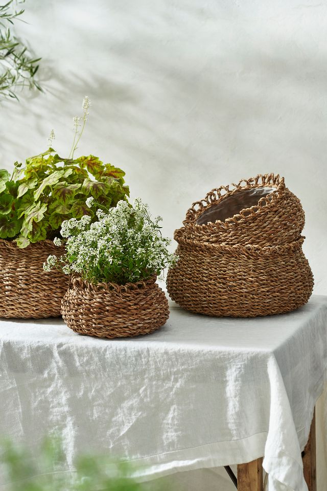 Nested Seagrass Basket Planters, Set of 4 | Anthropologie