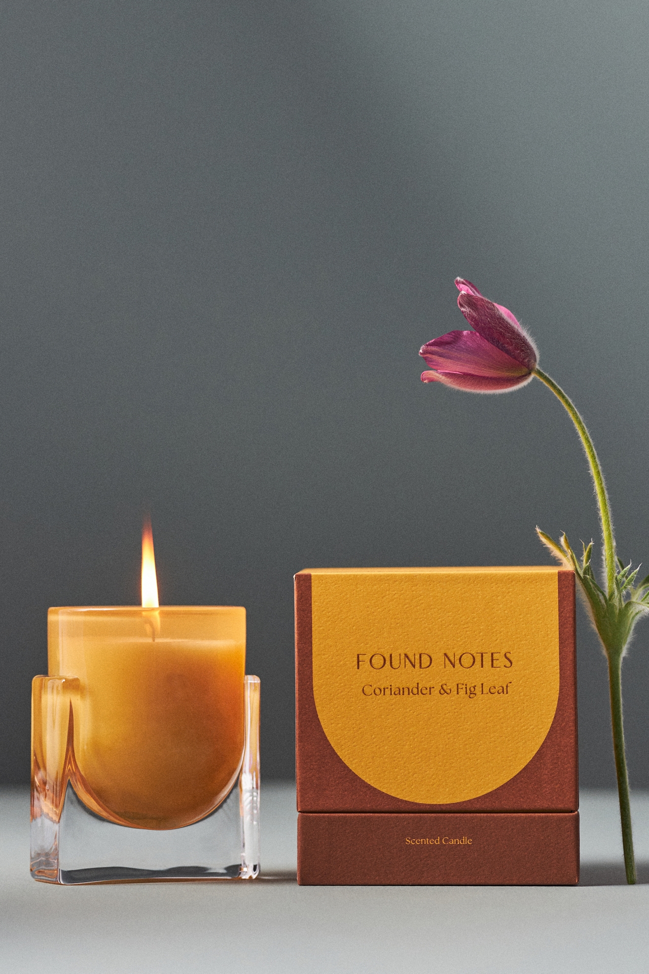 Found Notes Fresh Coriander & Fig Leaf Boxed Candle