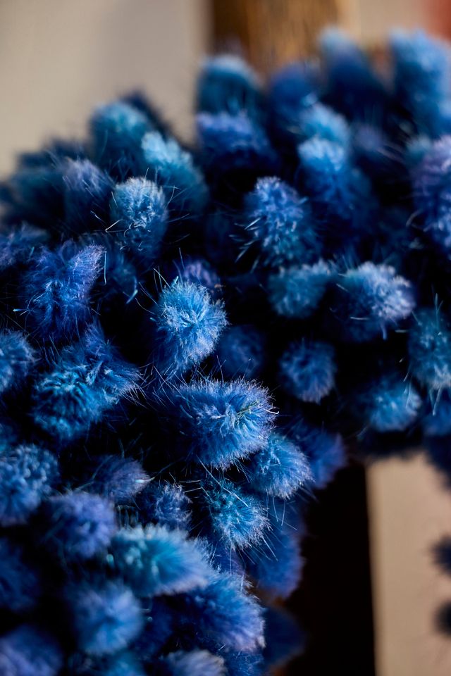 Preserved Bunny Tails Wreath #1