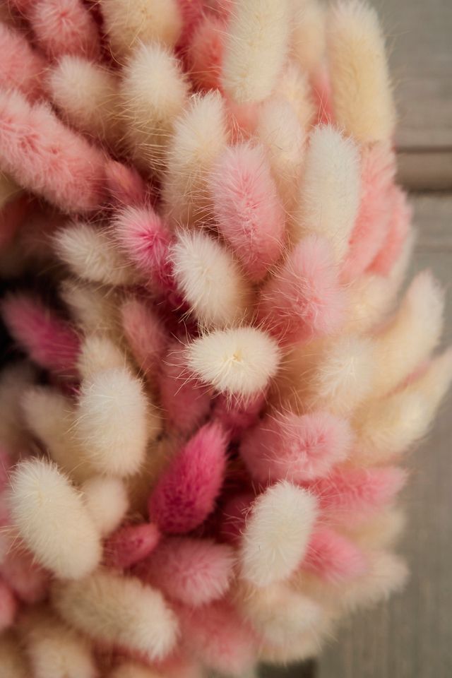 Preserved Bunny Tails Wreath #1