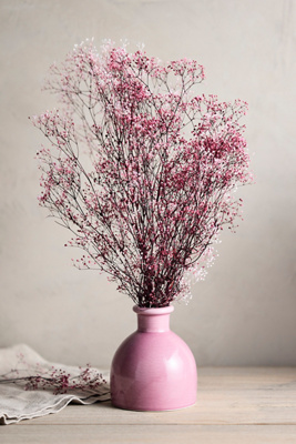 Shop Terrain Preserved Pink Gypsophila Bunch