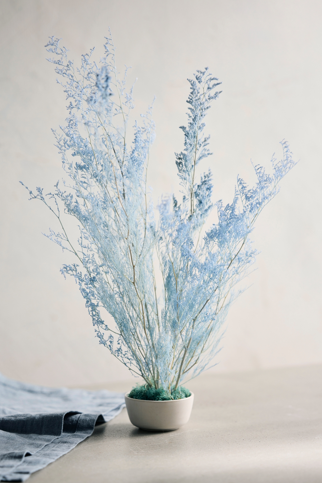 Preserved Limonium Bunch