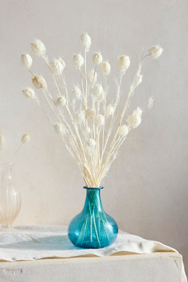 Terrain Preserved Nigella Bunch