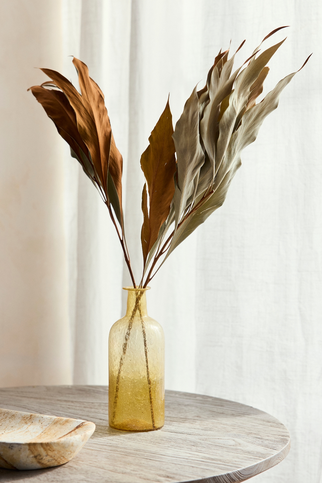 Preserved Grevillea Barklyana Bunch