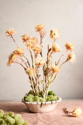 Shop Terrain Preserved Helichrysum Bunch