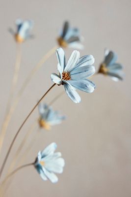 Crafted Botanical Spray, Petite Floral